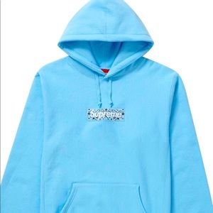 DS supreme bandana box logo hoodie in bag